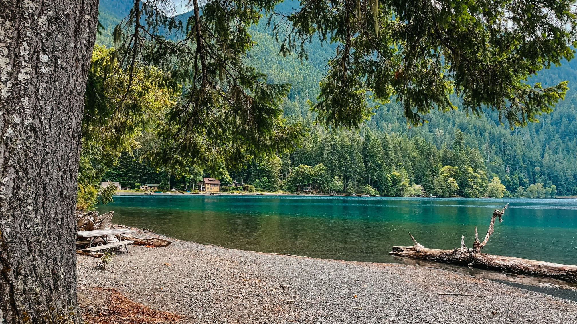 With a focus on personal growth for the year 2020, the decision is made to resurrect DingoBytes.com as a sandbox for exploring new technologies and sharing insights gained along the journey towards becoming "STRONGER."